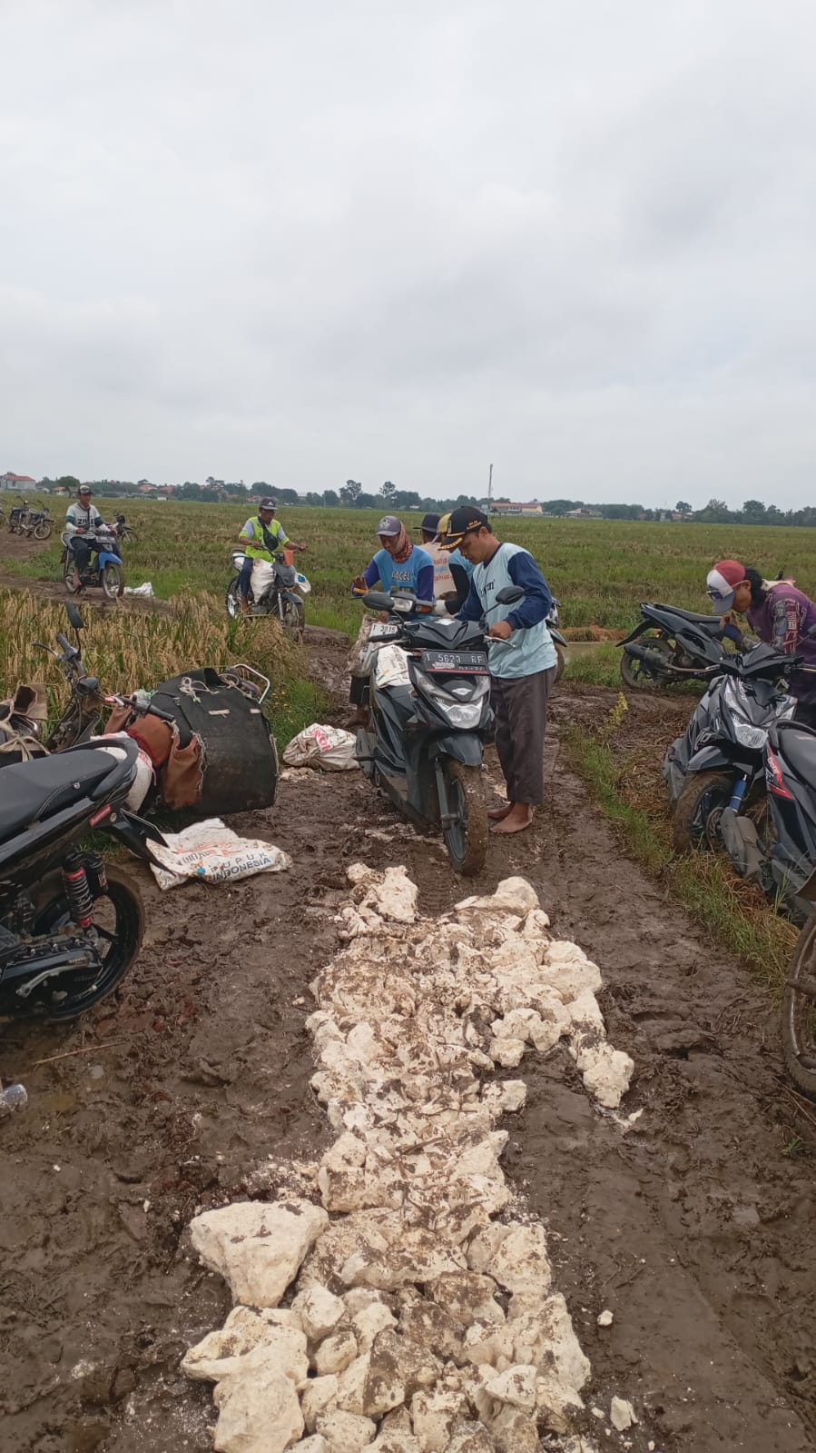Jalan Usaha Tani di Dusun Krajan Diperbaiki, Aparat Desa dan Petani Bergotong Royong Pasang Batu Kapur